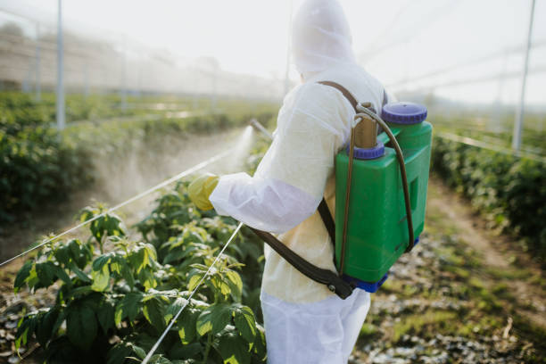 Best Residential Pest Control  in Clay City, KY